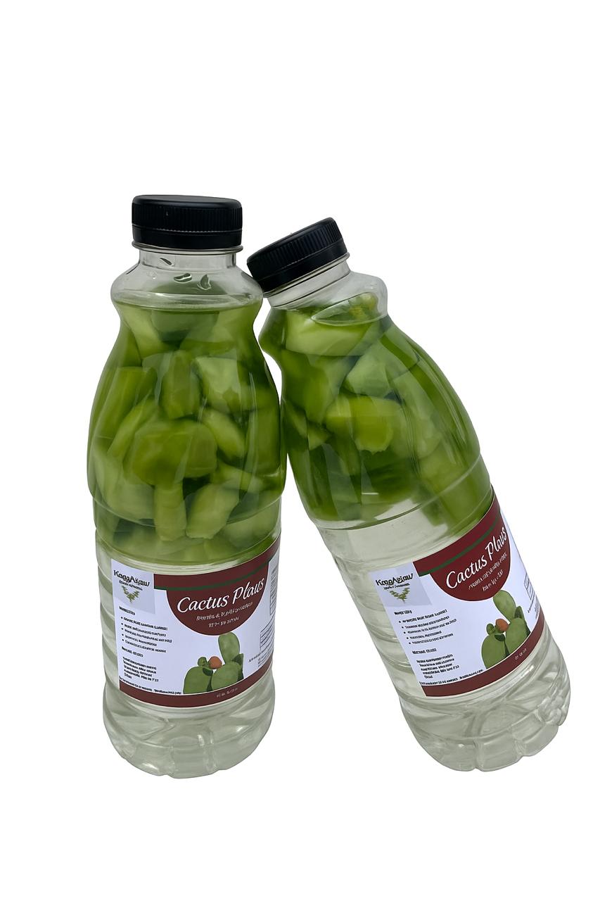 Cactus Plant Nutrition Drink 1 Litre